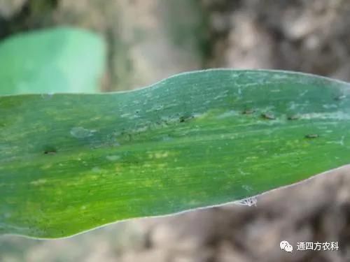 ���הQ����ô�k����ץ�o��Q��Ӱ푮a��!!!