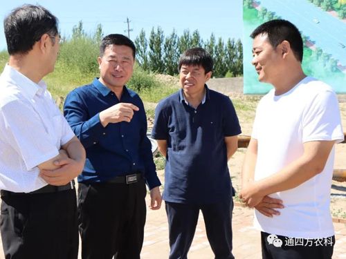 ��(n��i)�ɹ����΅^(q��)�˴�ί���x��ί���ΌO���|һ�� �����(n��i)�ɹ�ͨ�ķ��r(n��ng)�I(y��)�Ƽ����޹�˾