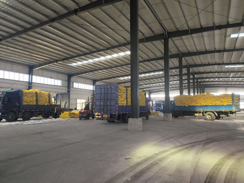 ԭ��܇�M(j��n)�S