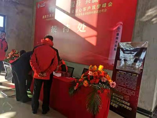 ����_������|����ʡ����